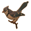 Bird Blue Jay