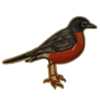 Bird Robin