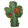 Cactus w Flower