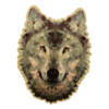 Prism Wolf Head