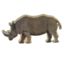 Rhinoceros