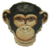 Chimp Head