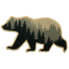 Bear w Forest 2